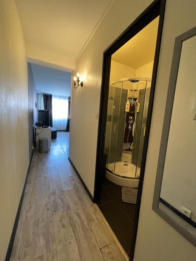 Grand Studio Proche Du Centre Ville Strasbourg Ngoại thất bức ảnh